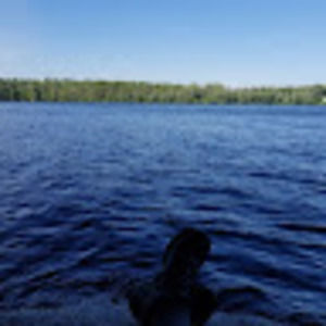 Meet your Posher, Dellaney